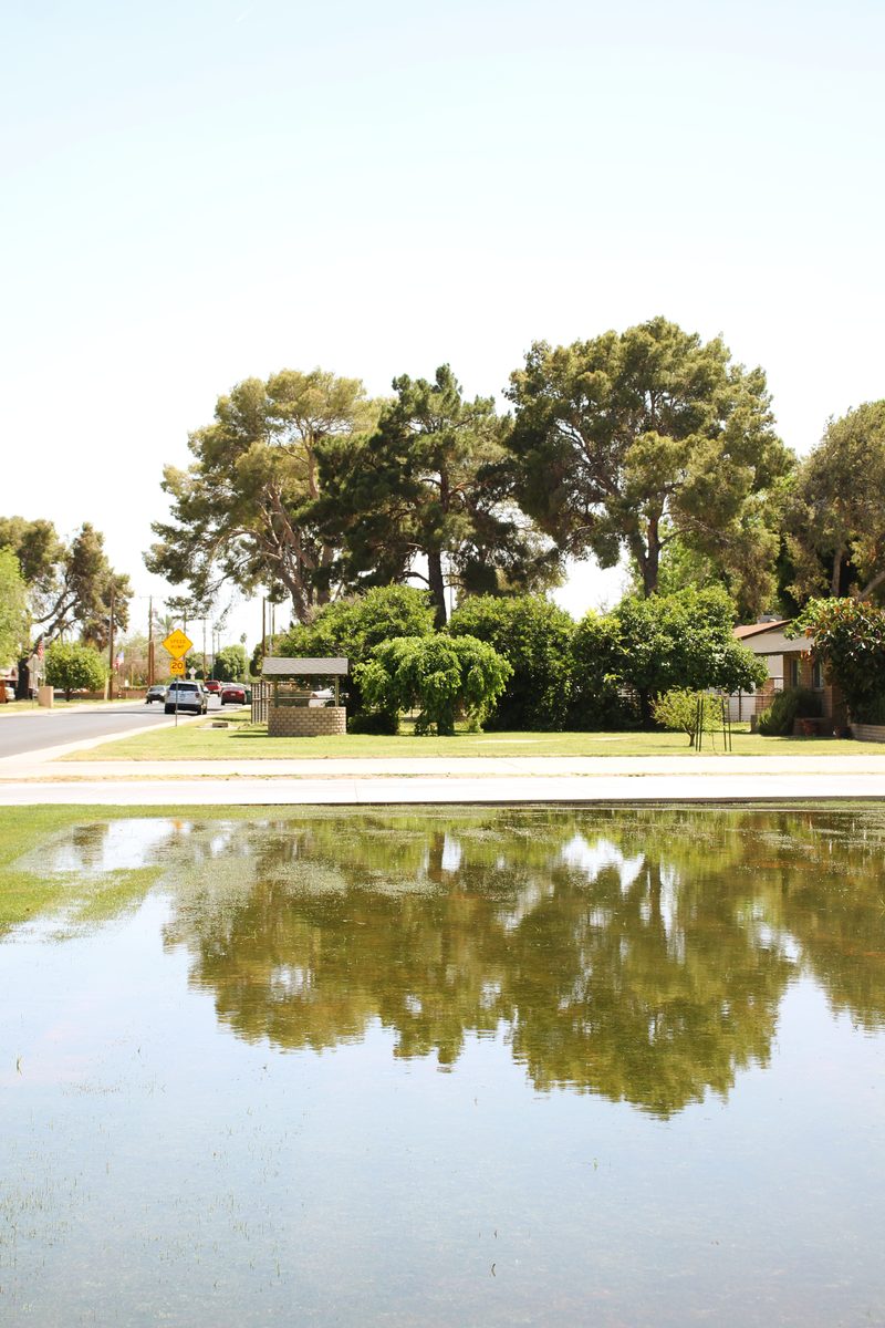 District verification for a flood irrigated property in Arizona