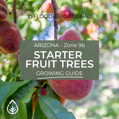 Top 10 Starter Fruit Trees for Arizona's Zone 9b guide cover