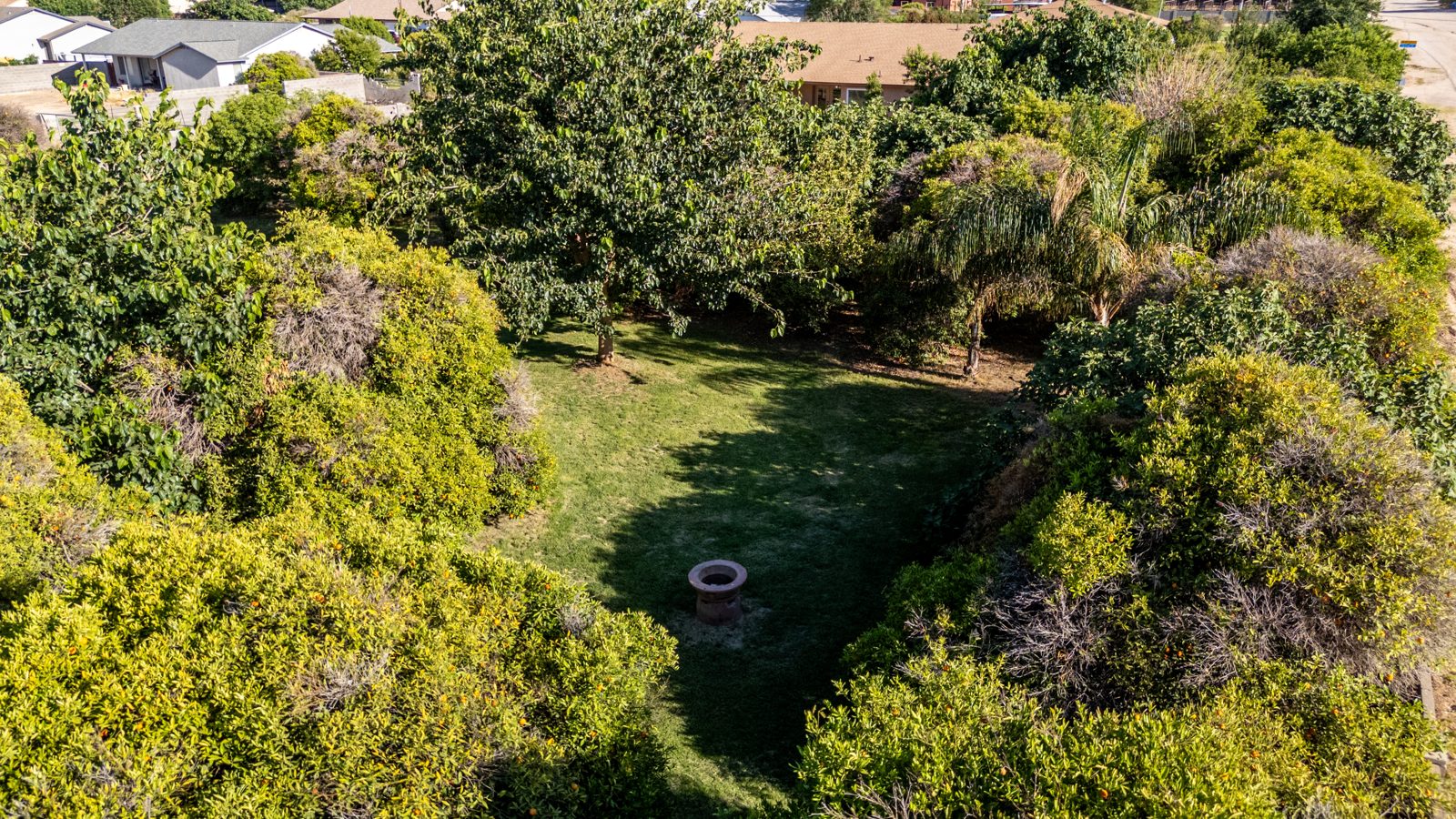 Aerial drone view of a flood-irrigated property in Arizona with mature trees and lush green landscape